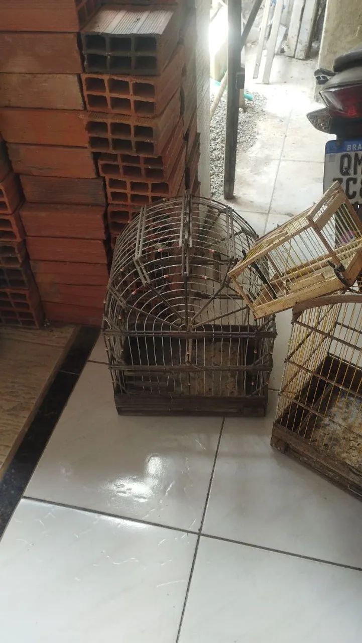 Gaiola 