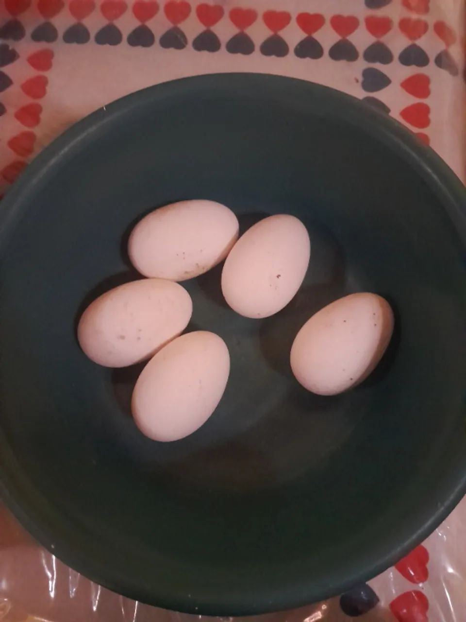 Ovos de ganso chinês branco 