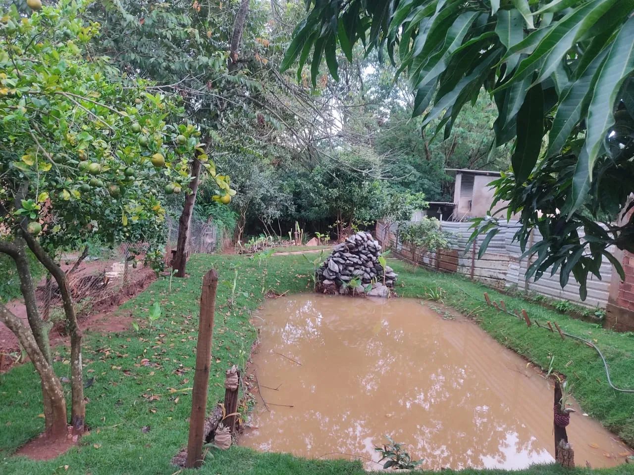 Mini Chácara Dentro de Goiânia! - Foto 2