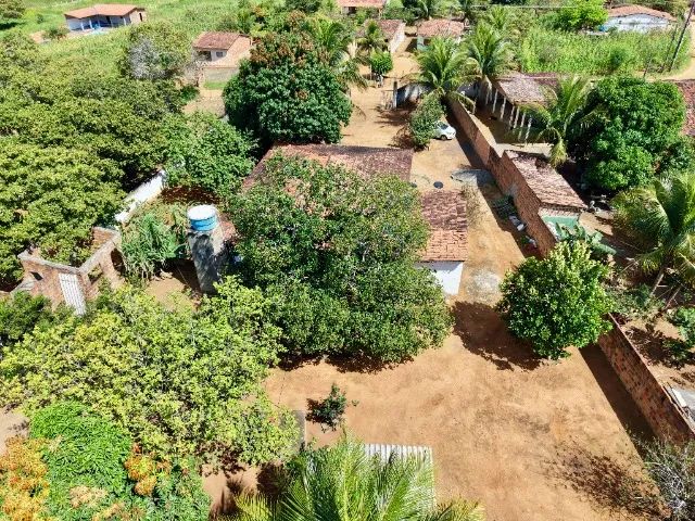 Sítio com casa e fruteiras próximo à Serra das Pias em Palmeira dos Índios - Foto 6