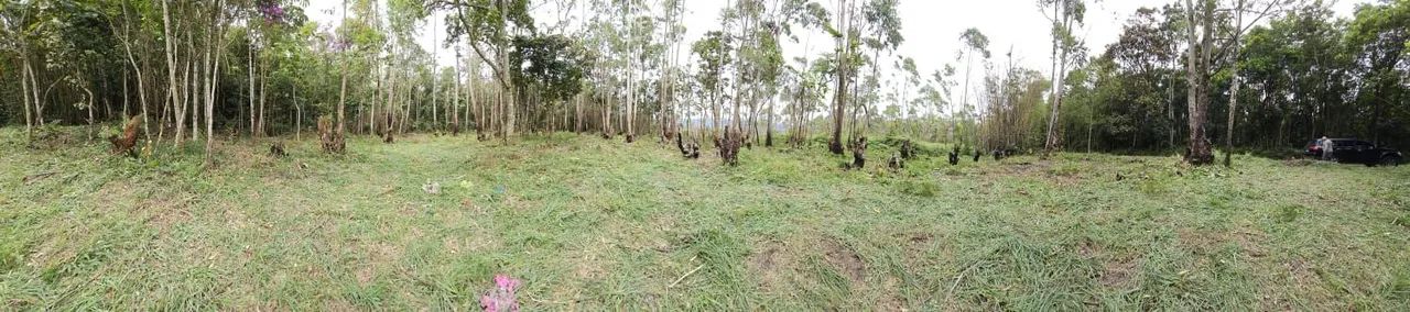Sitios documentados em Taiaçupeba Mogi das Cruzes  - Foto 5