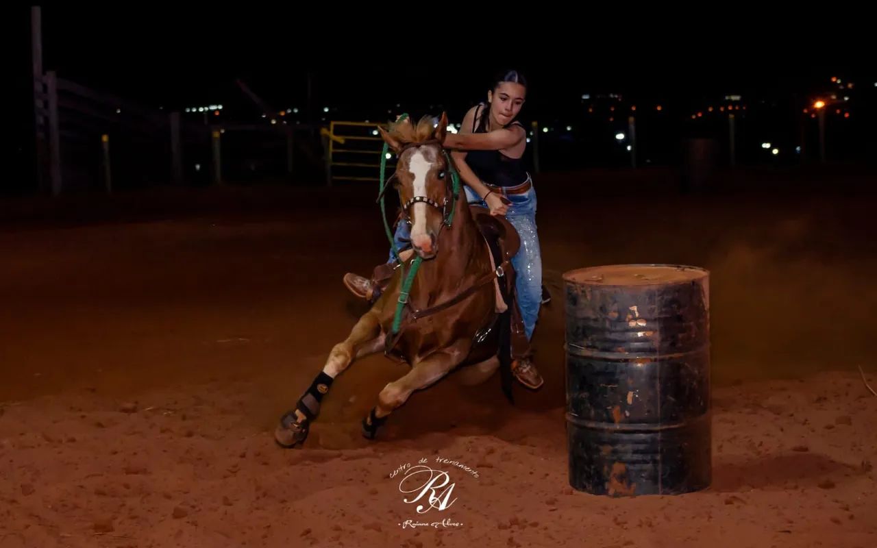 Cavalo Quarto de milha PO - Foto 3