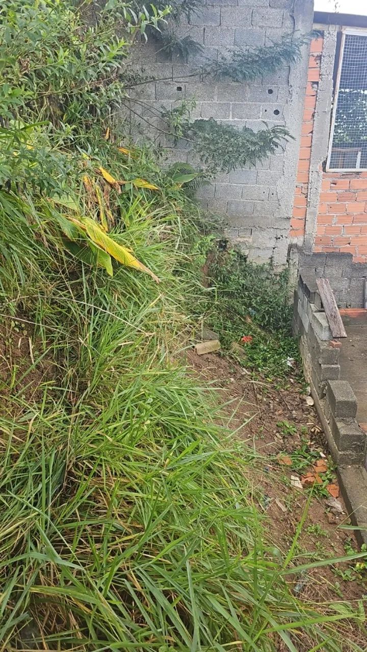 Terreno Francisco Morato  - Foto 4