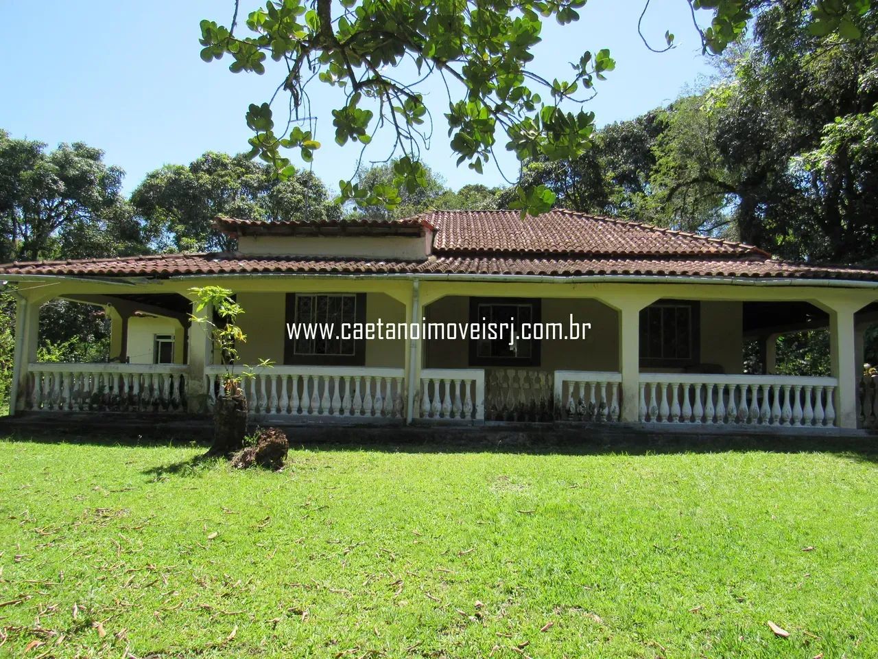 Sítio C/ Localização Nobre - Oportunidade - Foto 2