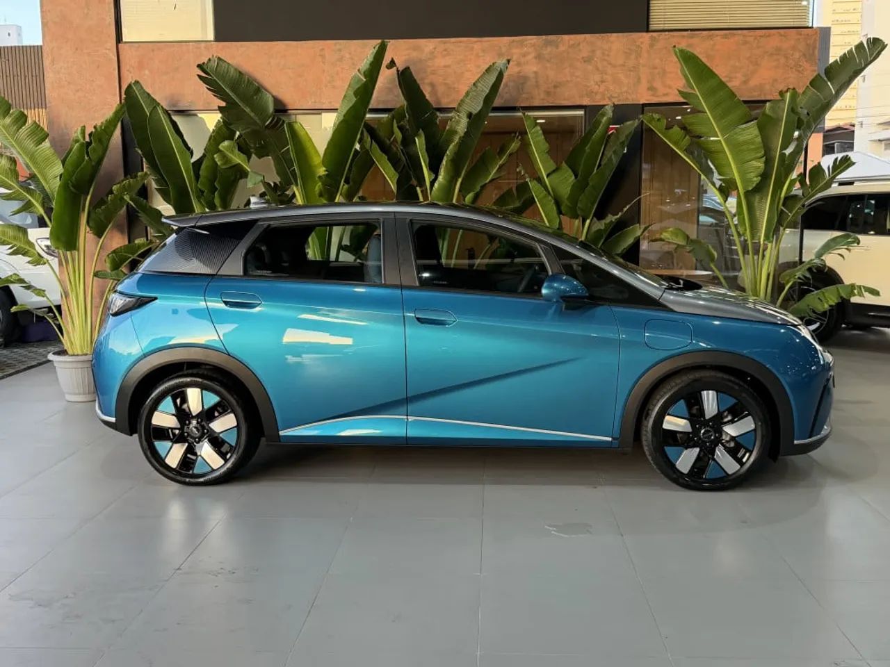 BYD Dolphin Plus (Elétrico) 2025 - Foto 2
