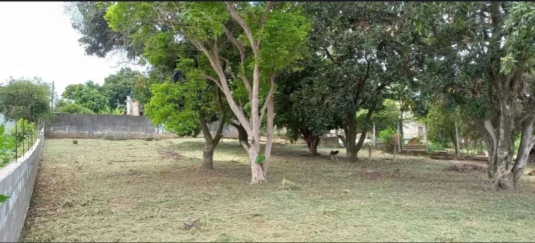 Foto - Monte Mor - Chácaras Meu Cantinho