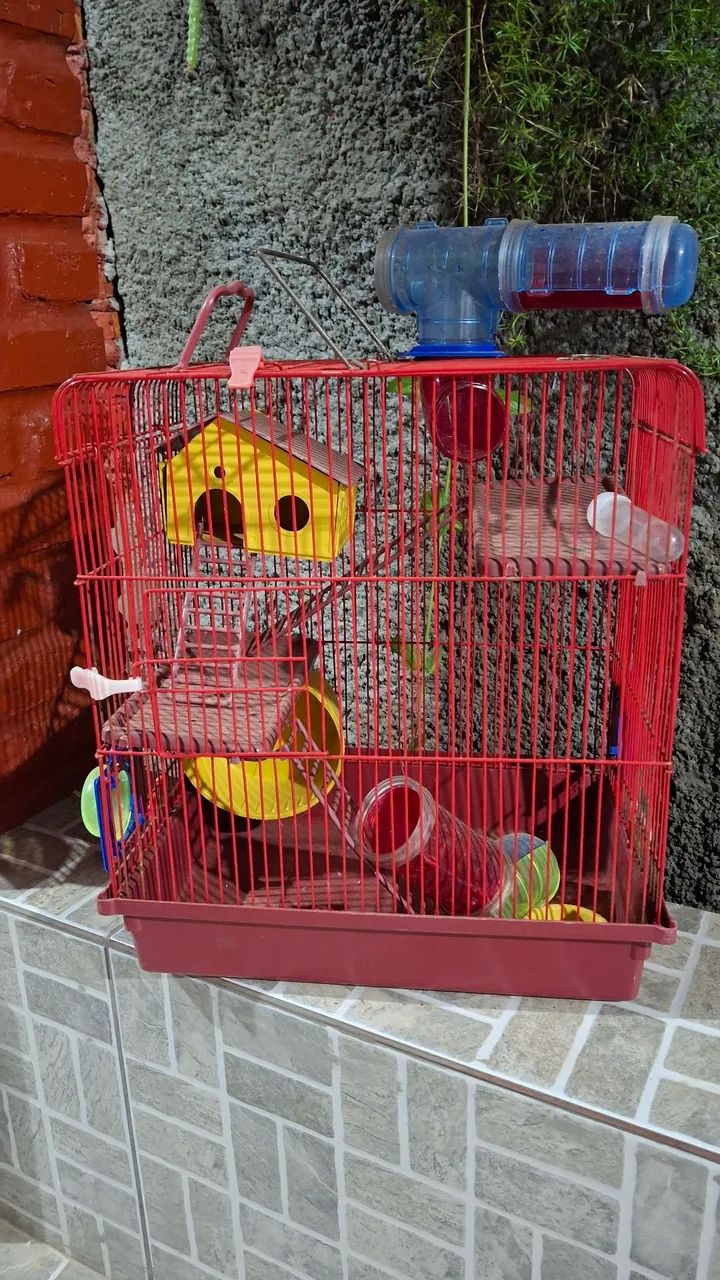 Gaiola Hamster - Foto 2