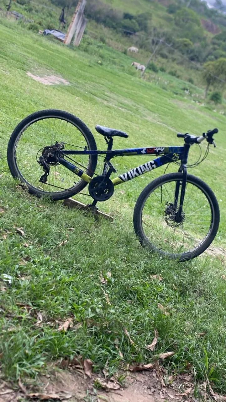 Vikingx