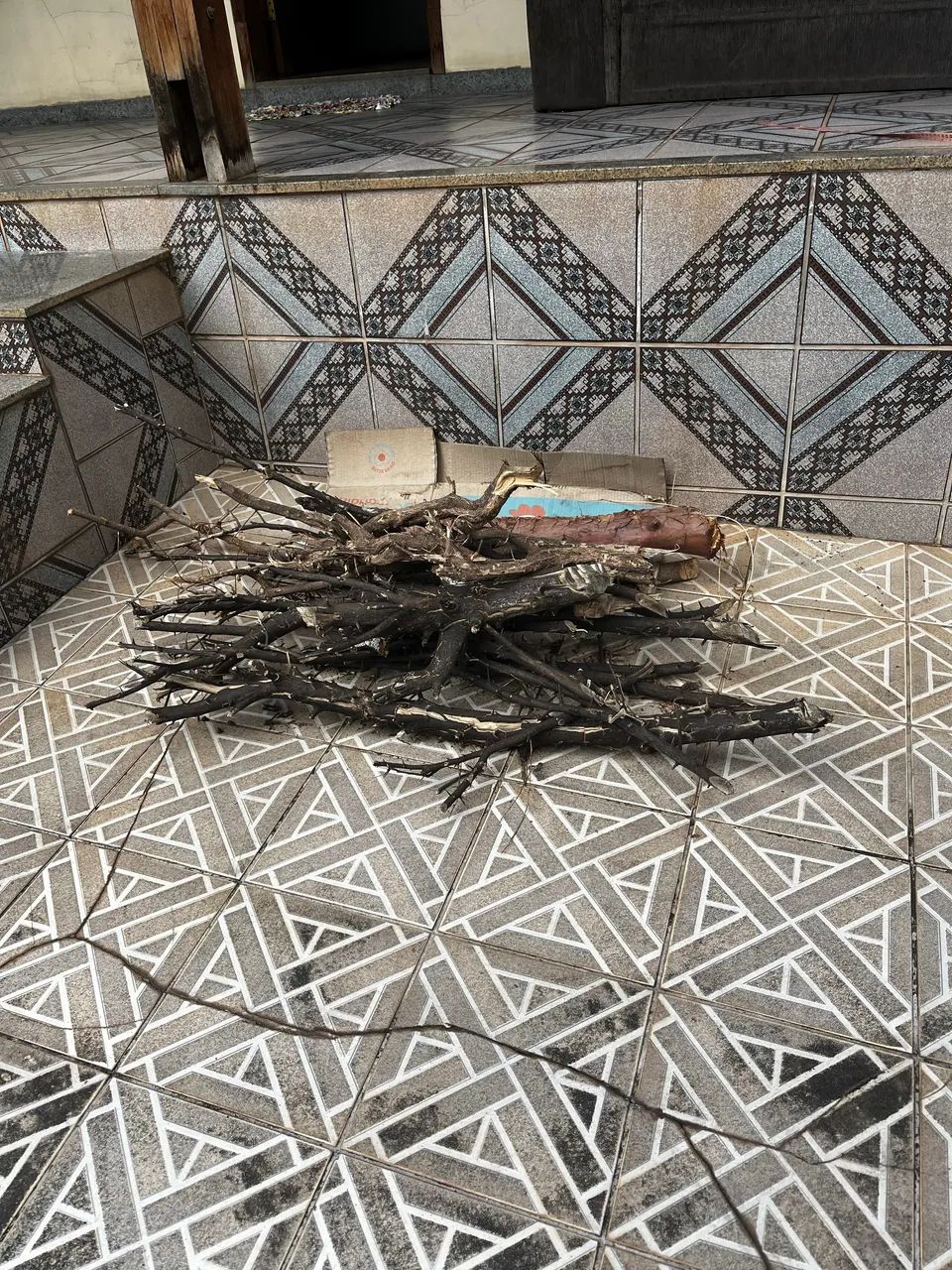 Lenha de árvore de goiaba  - Foto 2