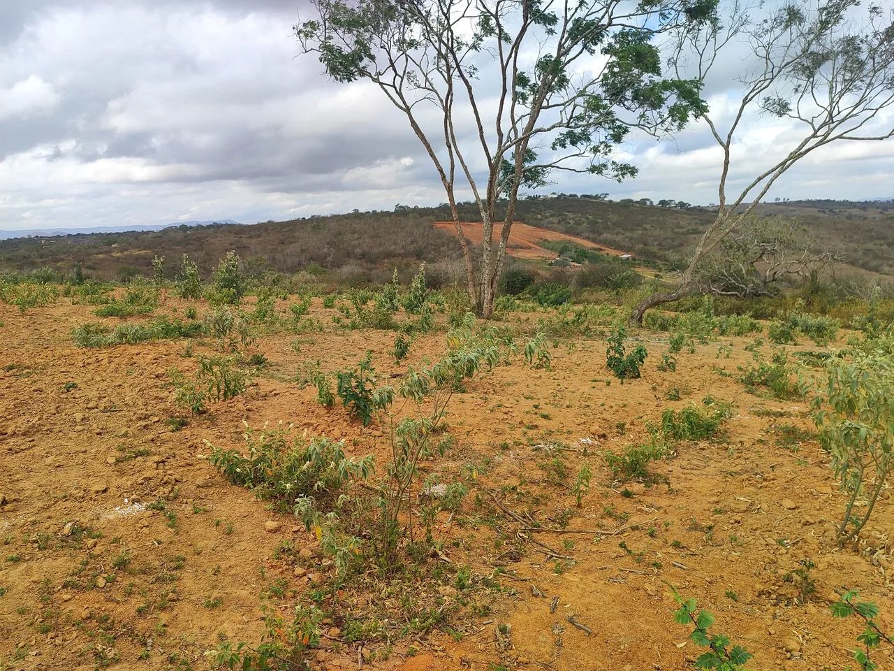 Terreno - Foto 4
