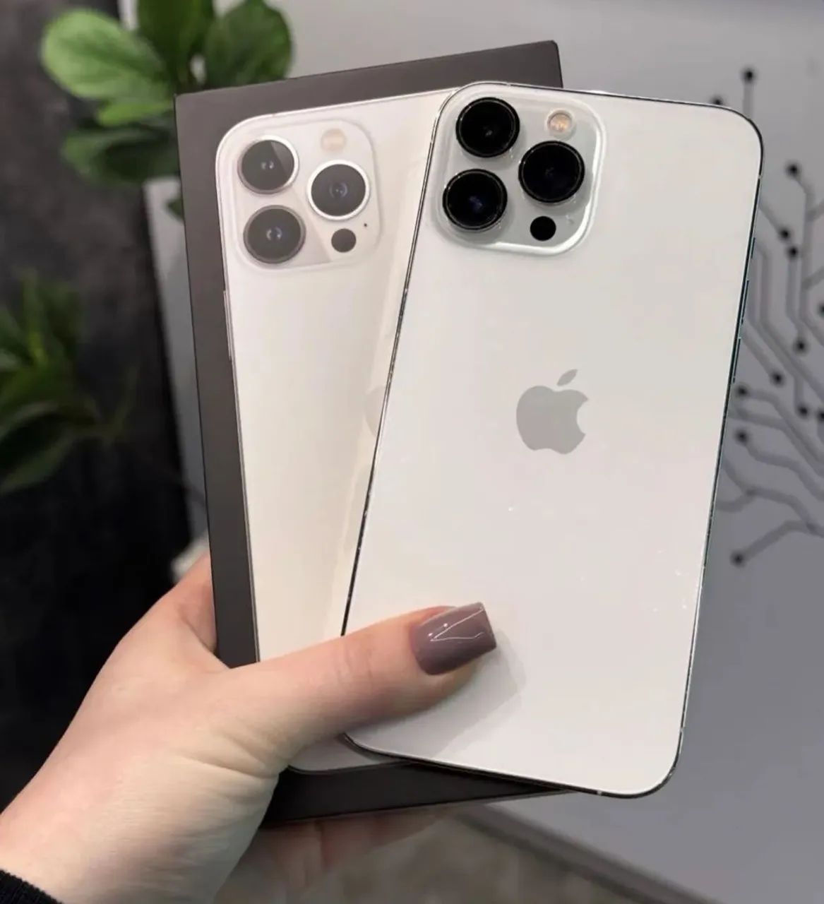 iPhone 13 pro Max 
