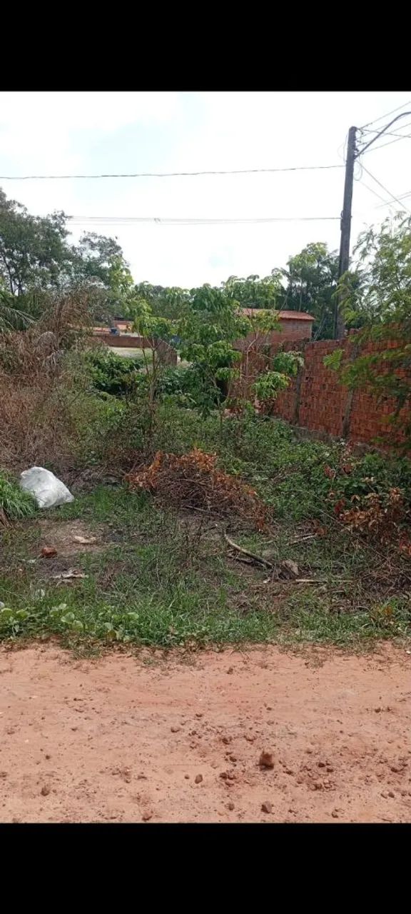 Vendo terreno tropical .. - Foto 4