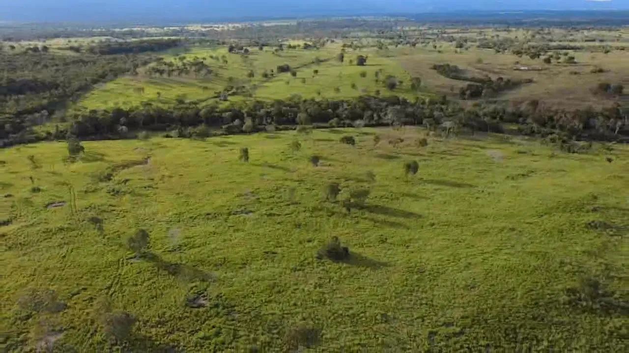 FAZENDA A VENDA - Foto 4