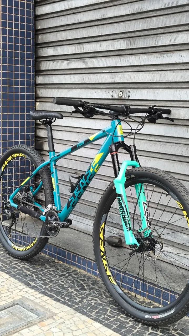 Bike Sense 29'