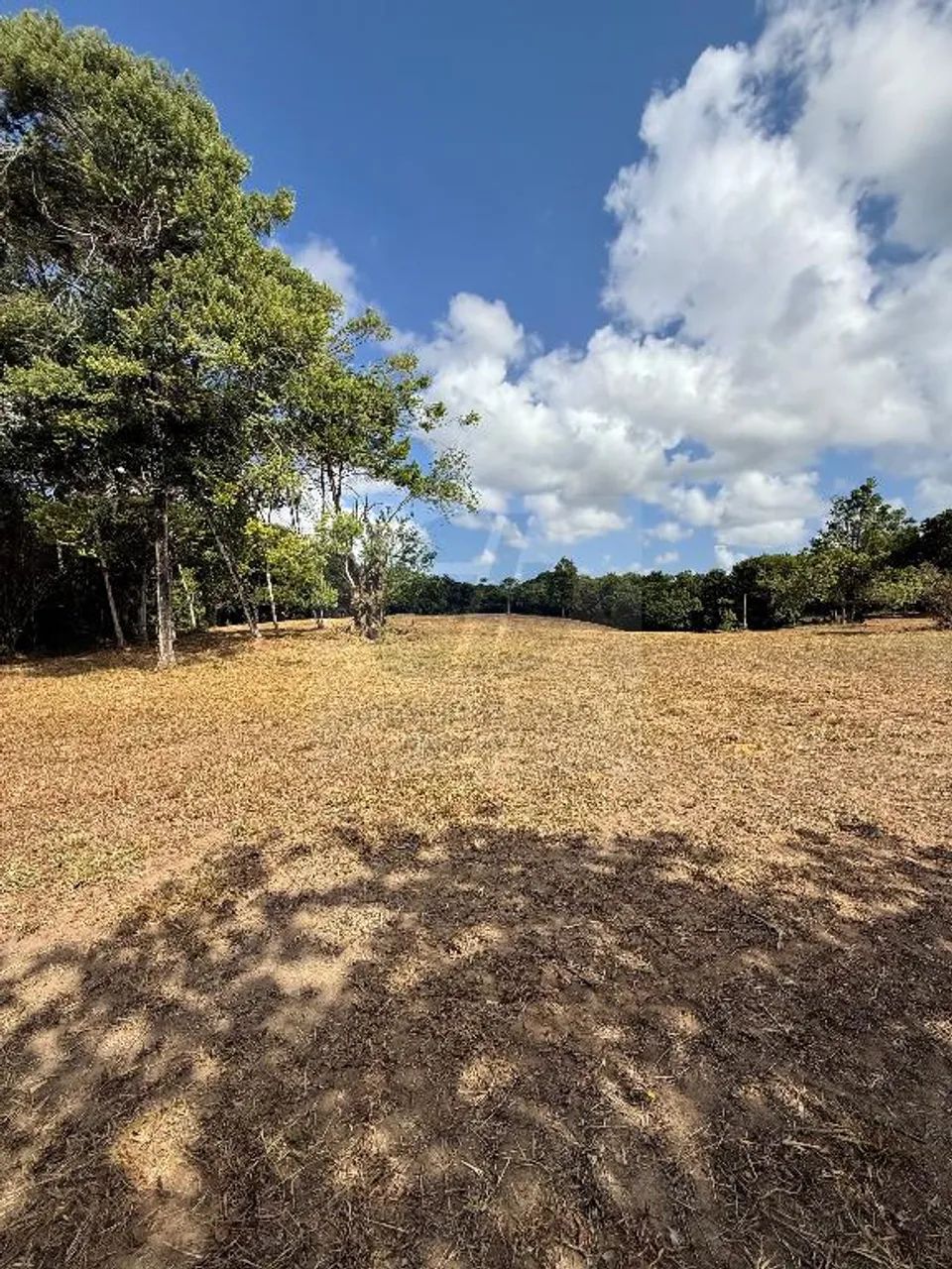 Área na Guabiraba Próximo ao CT do Sport - Foto 5