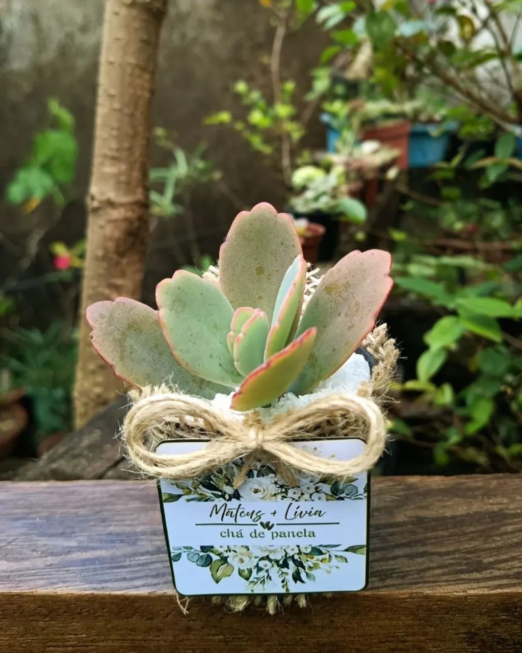 Lembrancinhas personalizadas com cactos e suculentas  - Foto 2