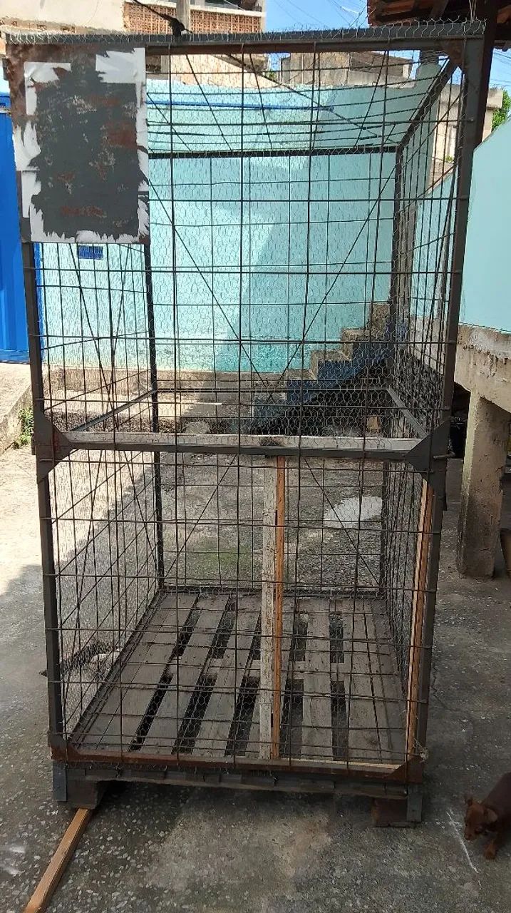 Vendo viveiro barato  - Foto 4