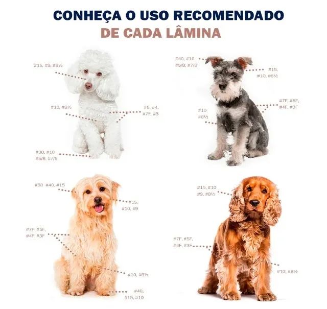 Lâmina 40 Andis Lâmina de Tosa Andis 40 para Máquinas Andis AGC2 Excel nova na embalagem - Foto 3