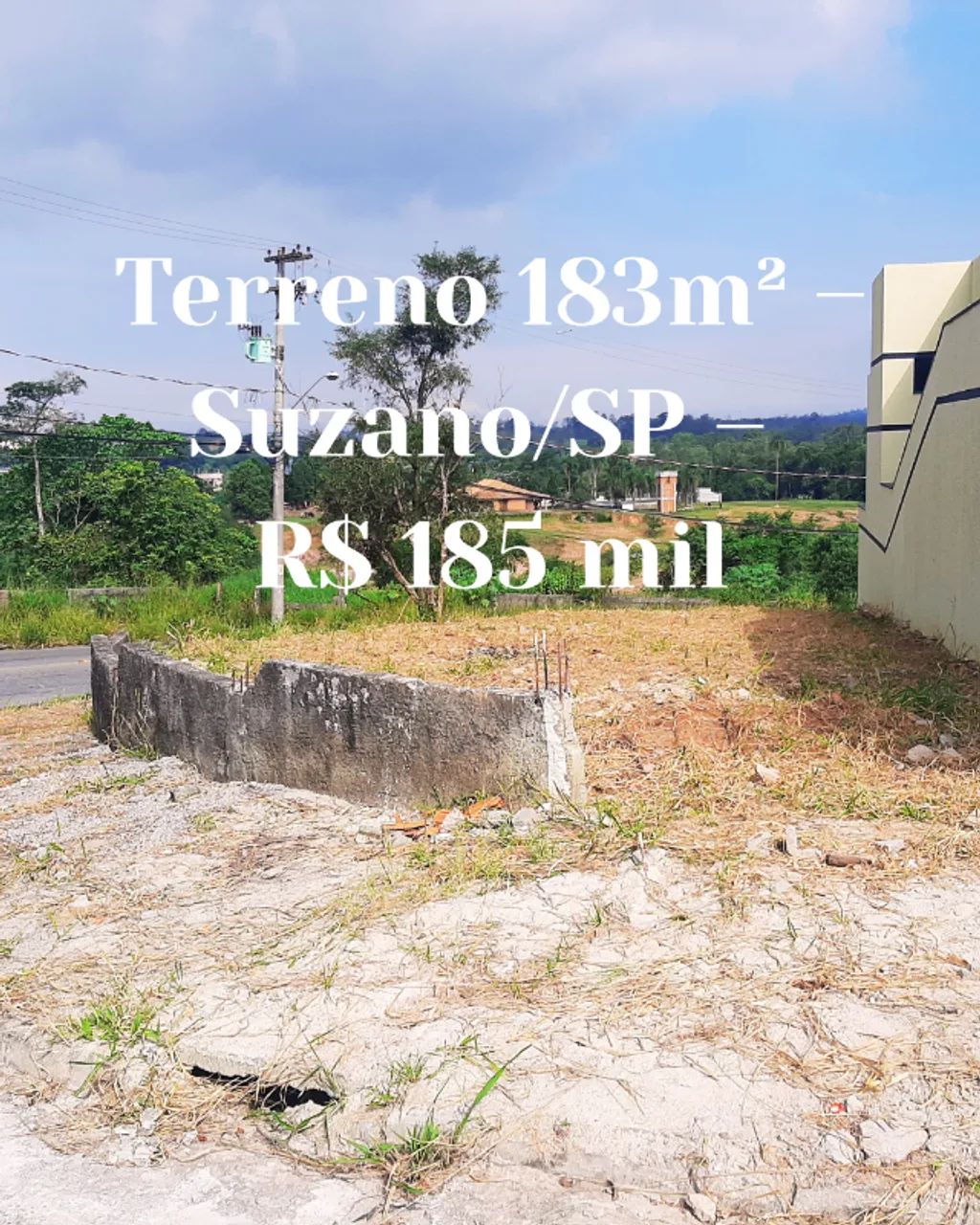 Foto - Suzano - Jardim das Flores