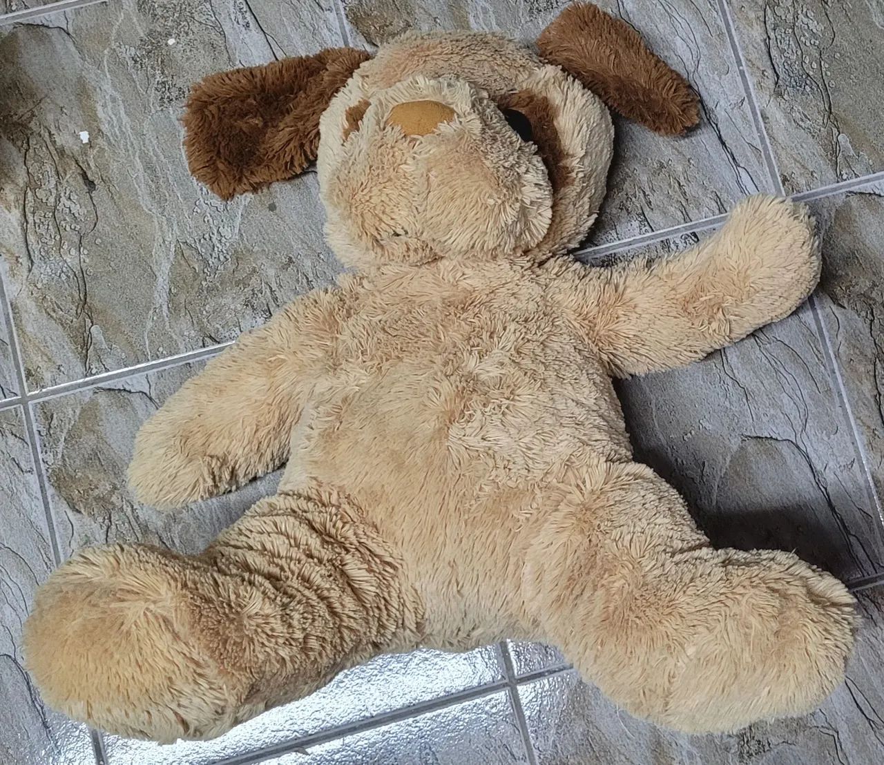 Cachorro mais de 60cm
