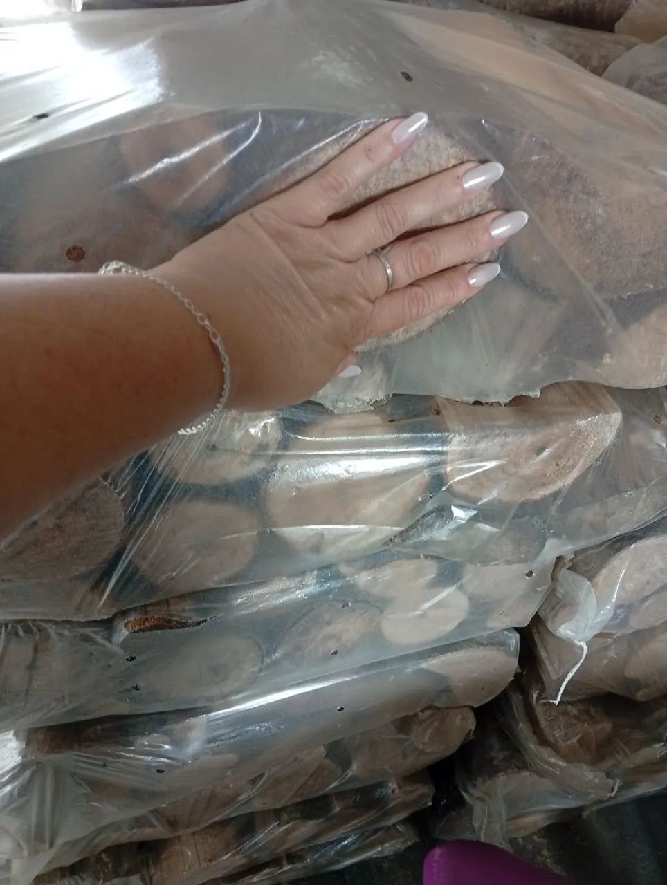 Lemhas para churrasco  - Foto 2