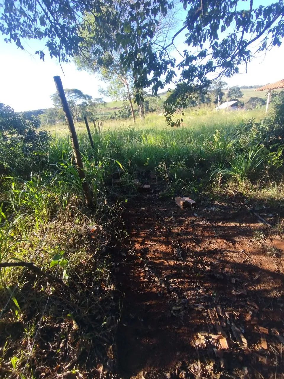 Chácara em Bonfinópolis urgente  - Foto 5