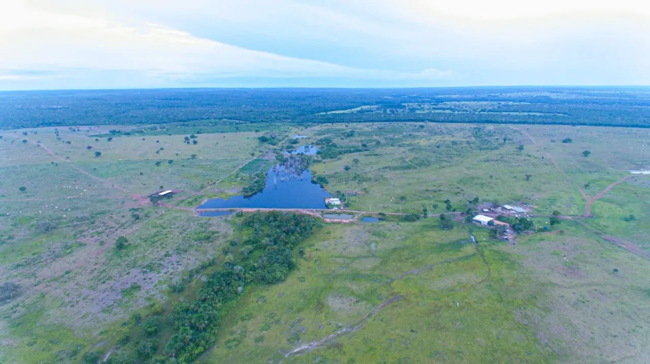 Fazenda em Tocantins com 1.388,80 Hectares  - Lagoa da Confusão - TO - Foto 3