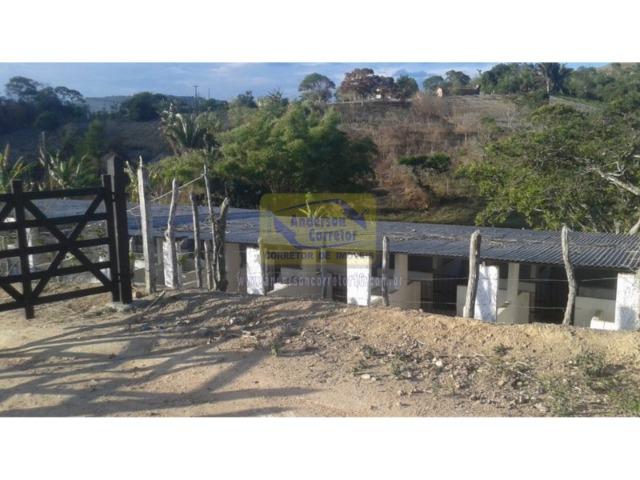 Excelente Área ? Com 6 Hectares - Chã-Grande/PE Propriedade ID : A0317 - Foto 16