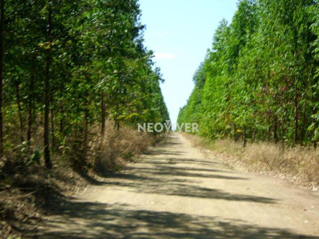 Fazenda campo belo! - Foto 4