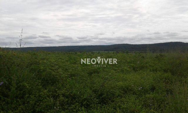 Fazenda campo belo! - Foto 7