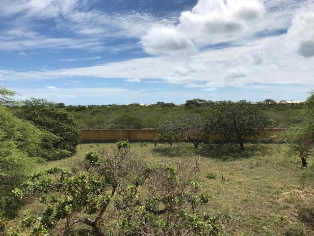 Fazenda em Caiçara do Norte - 552 Hectares - Foto 19