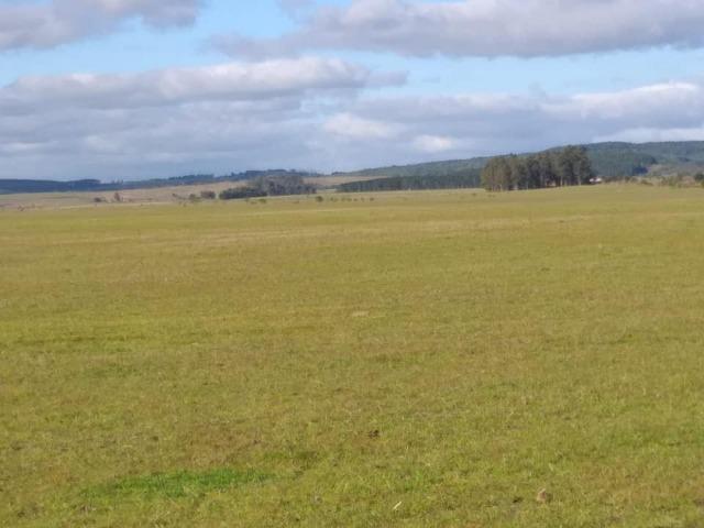 A Fazenda