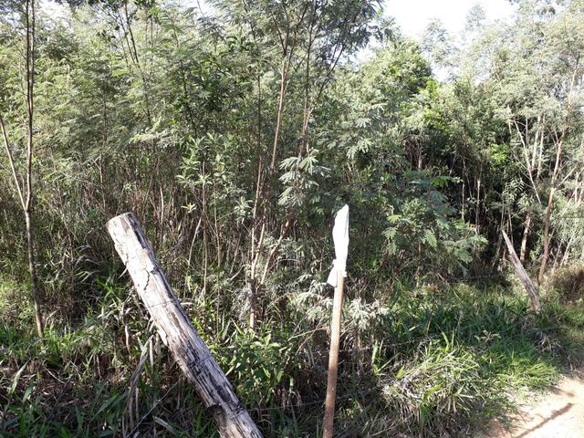 TORRANDO !!! LINDA CHÁCARA de 2.500m2° EM BOCAIUVA - Foto 6