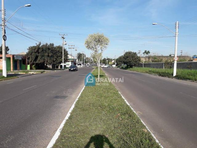 Terreno para alugar por R$ 1.670/mês - Bom Sucesso - Gravataí/RS - Foto 4