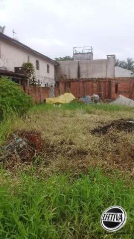 Terreno 363m² com edícula e piscina - praia grande - Foto 4