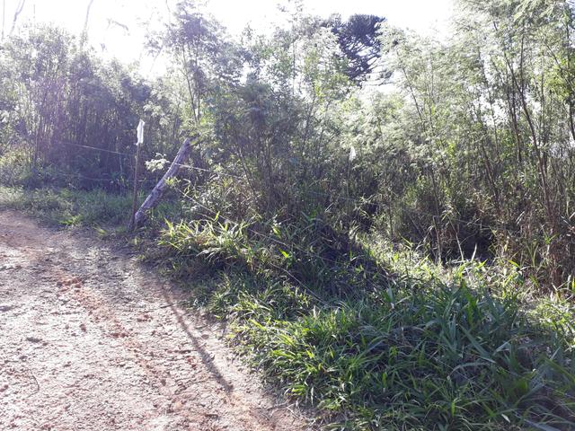 TORRANDO !!! LINDA CHÁCARA de 2.500m2° EM BOCAIUVA - Foto 10