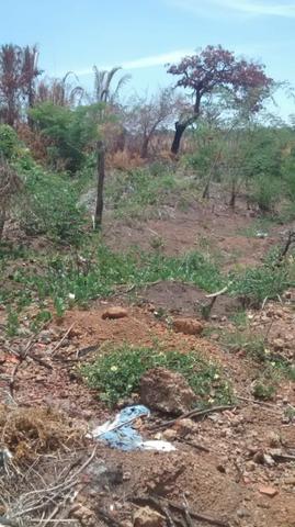Venda de Lotes