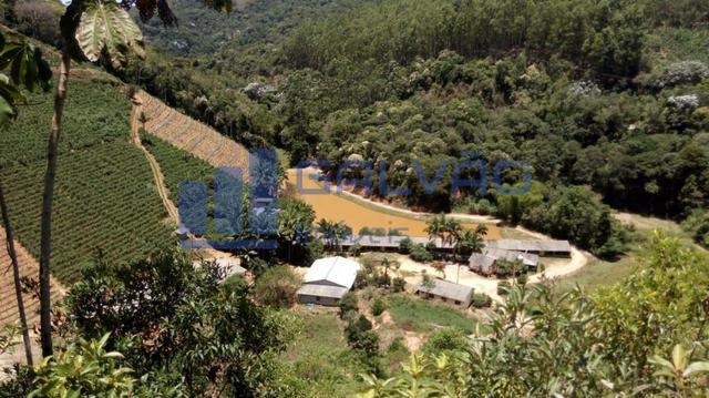 JG. Sítio de 234 mil m² com casa de 3 quartos com suíte em Marechal Floriano! - Foto 4