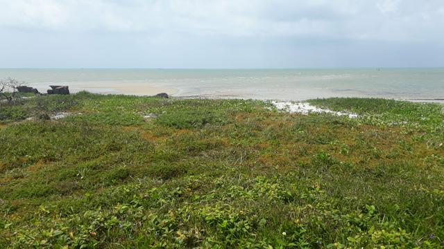 Oportunidade Beira Mar de Pontas de Pedra 12x30 por 75 Mil - Foto 6