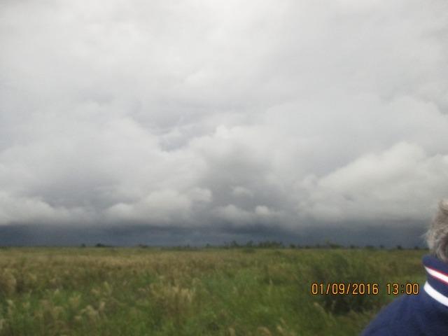 Fazenda na região do abobral,pra venda e arrendamento.2,800 ha - Foto 7