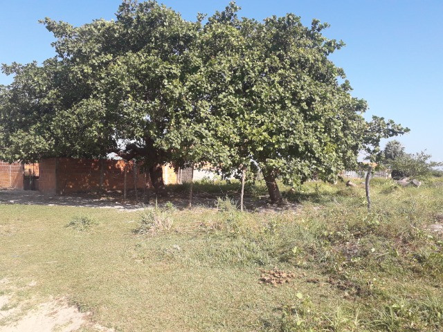 Terreno 10 x 30 m R$ 35.000,00 - Foto 11