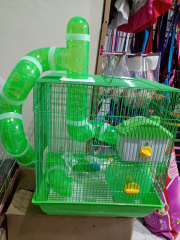 Hamster Sírios e anã russo... - Foto 6