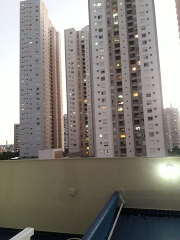 Construtor pedreiro azulegista pintor