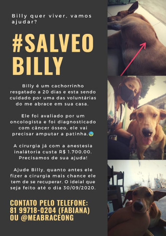 Ajuda animal