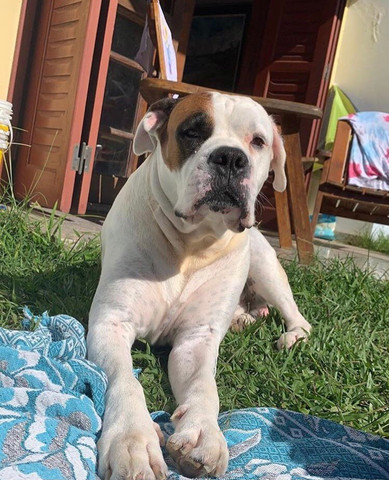 Procuro namorada - Foto 2