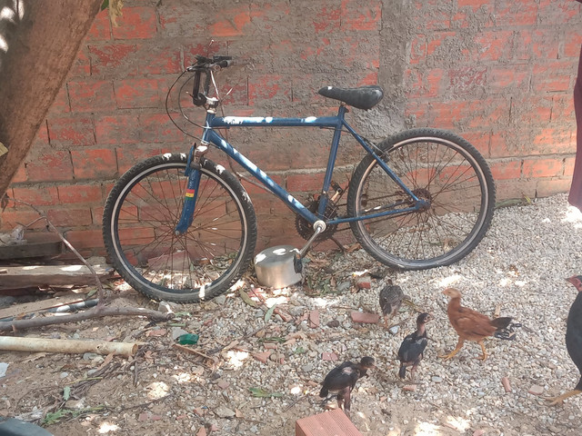 Bicicleta - Foto 2