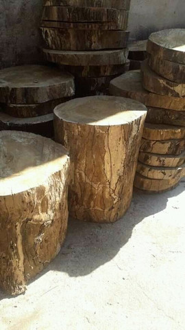 Bolachas de madeiras