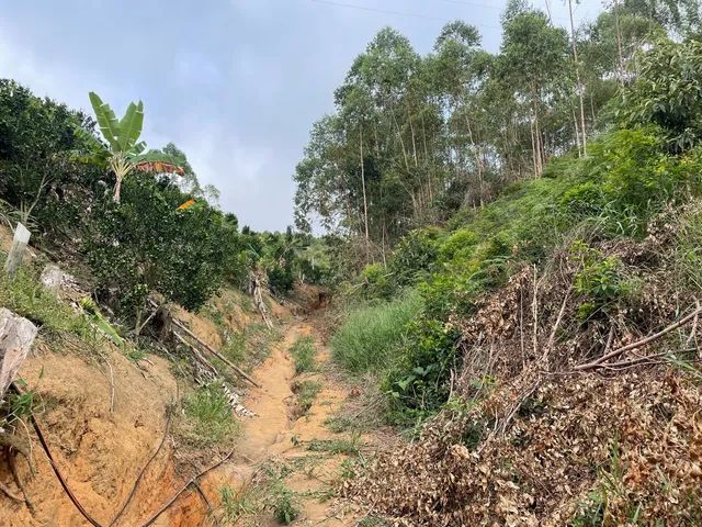 Terreno em Domingos Martins - Foto 3