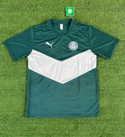 Camiseta Pré-Jogo Palmeiras, Branco, PUMA