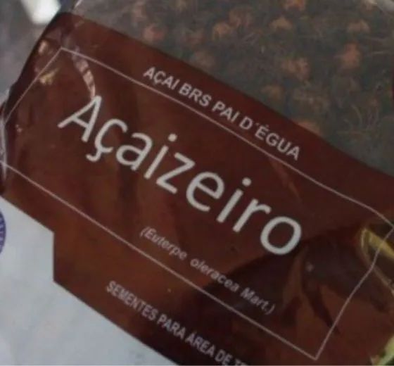 AÇAÍ BRS PAI D'EGUA e AÇAÍ BRS PARÁ ANÃO - Foto 3